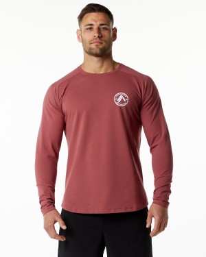 Men's Alphalete Dynasty LS Tee Shirts Gingerbread | 1748-TIMQO