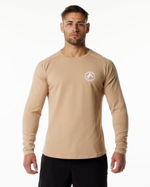 Men's Alphalete Dynasty LS Tee Shirts Taupe | 2147-HQNOS