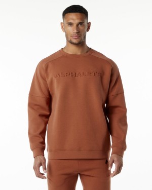 Men's Alphalete ELMTS Crewneck Sweater Jackets Brick | 8165-ERITQ