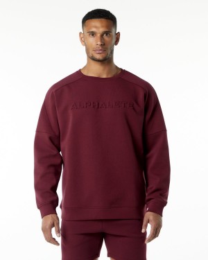 Men's Alphalete ELMTS Crewneck Sweater Jackets Burgundy | 2760-ORMZU