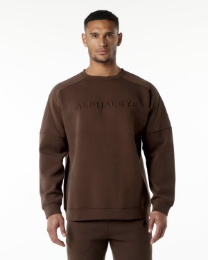 Men's Alphalete ELMTS Crewneck Sweater Jackets Fudge Brown | 5382-OTXAR