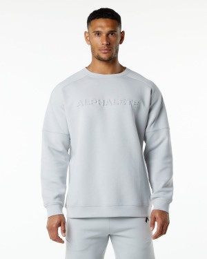 Men's Alphalete ELMTS Crewneck Sweater Jackets Oyster Grey | 6435-TZJUK