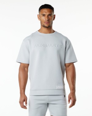 Men's Alphalete ELMTS Half Sleeve Pullover Jackets Oyster Grey | 8697-XWEGJ