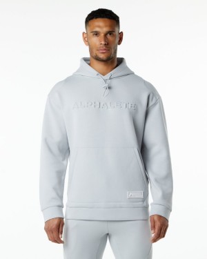 Men's Alphalete ELMTS Hoodie Hoodie Oyster Grey | 6841-JZQVD