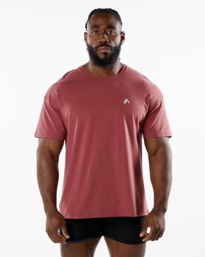 Men's Alphalete Emblem Tee Shirts Gingerbread | 5830-DOEQM