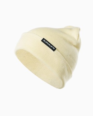 Men's Alphalete Essential Foldover Beanie Accessories Resin | 9028-CBATQ