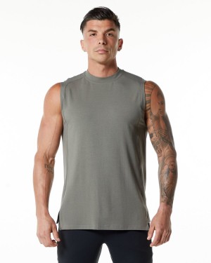 Men's Alphalete Evo Tank Tanks Stone Grey | 7601-BTQUF