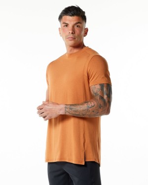 Men's Alphalete Evo Tee Shirts Camel | 0436-KVUFB