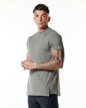 Men's Alphalete Evo Tee Shirts Stone Grey | 1976-OBJEN