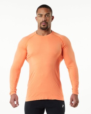 Men's Alphalete Hero Long Sleeve Tee Shirts Faded Day Tripper | 8217-KUDIG