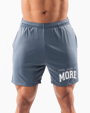 Men's Alphalete LDB More Mesh Short 6” Shorts Whale Blue | 6097-WMHFT