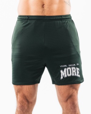 Men's Alphalete LDB More Mesh Short 6" Shorts Evergreen | 7461-VOFRM