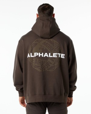 Men's Alphalete Unity Hoodie Hoodie Fudge Brown | 9705-MNFLT