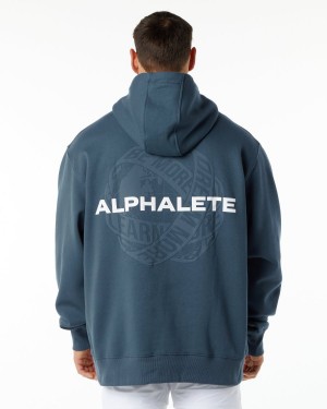 Men's Alphalete Unity Hoodie Hoodie Whale Blue | 2938-INWKO