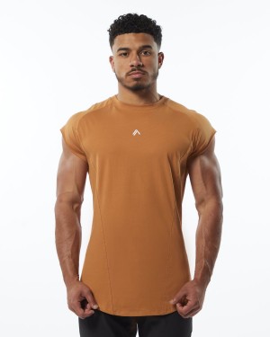 Men's Alphalete Velocity Sleeveless Tee Stringers Chestnut | 8056-DEKBI