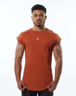 Men's Alphalete Velocity Sleeveless Tee Stringers Sour Tangerine | 5130-HAFYZ