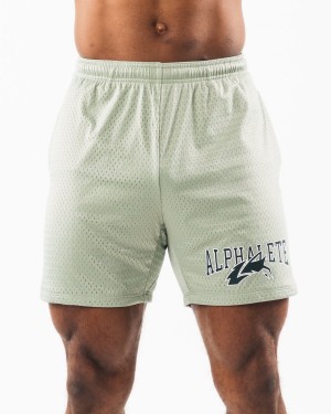 Men's Alphalete Wolf Head Mesh Short 6" Shorts Sage | 2598-WZSFC