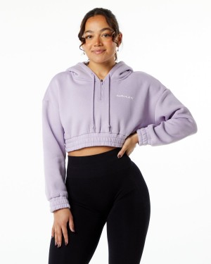 Women's Alphalete Classic Capital Crop Hoodie Hoodie Misty Lilac | 2168-RFNIT