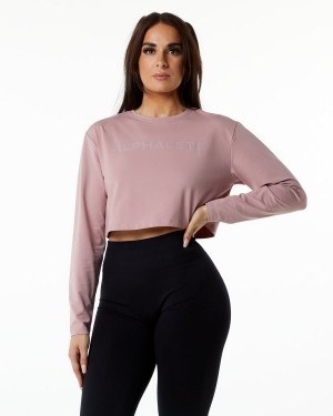 Women's Alphalete Core LS Crop Long Sleeve Mauve | 1863-HZSTU