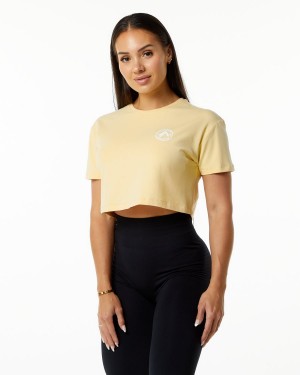 Women's Alphalete Dynasty Crop Shirts Daffodil | 5124-GMDEW