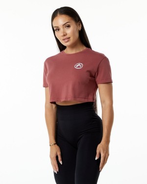 Women's Alphalete Dynasty Crop Shirts Gingerbread | 8543-RAHTU