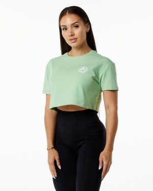 Women's Alphalete Dynasty Crop Shirts Pistachio | 6784-LJECW