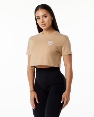 Women's Alphalete Dynasty Crop Shirts Taupe | 7830-PNTVW