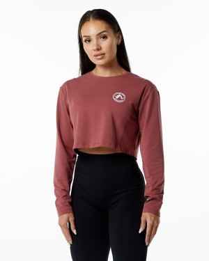 Women's Alphalete Dynasty LS Crop Long Sleeve Gingerbread | 3286-DGXJM