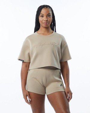 Women's Alphalete ELMTS Half Sleeve Pullover Jackets Tan | 0682-ZVSPO