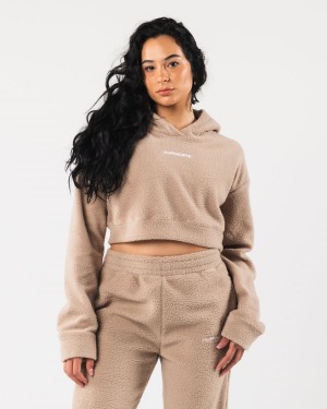 Women's Alphalete King Crop Hoodie Hoodie Linen | 3598-XMZHY