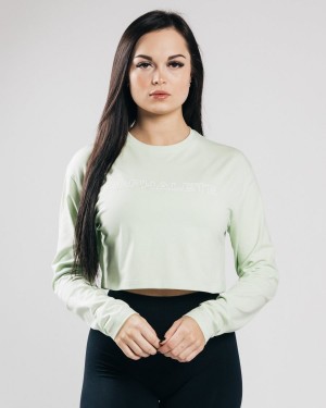 Women's Alphalete Outlined Long Sleeve Crop Long Sleeve Frozen Spring | 6897-ZXIAY