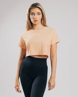 Women's Alphalete Signature Mesh Crop Shirts Orange Frost | 8296-AHBJM