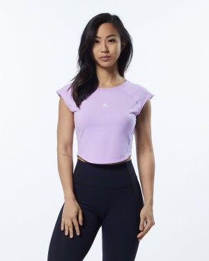 Women's Alphalete Velocity Crop Tee Shirts Static Lavender | 3714-JTQKX