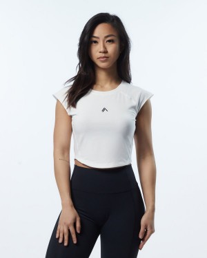 Women's Alphalete Velocity Crop Tee Shirts Resin | 4732-NPYZJ