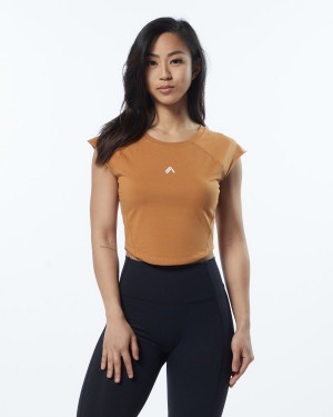 Women's Alphalete Velocity Crop Tee Shirts Chestnut | 3846-JHYPM