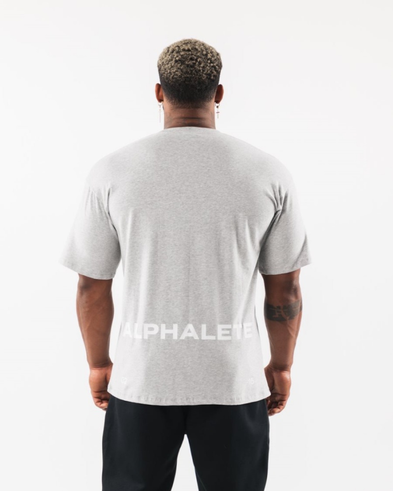 Men's Alphalete Brushed Crest Tee Shirts Heather Grey | 0145-PTOZM