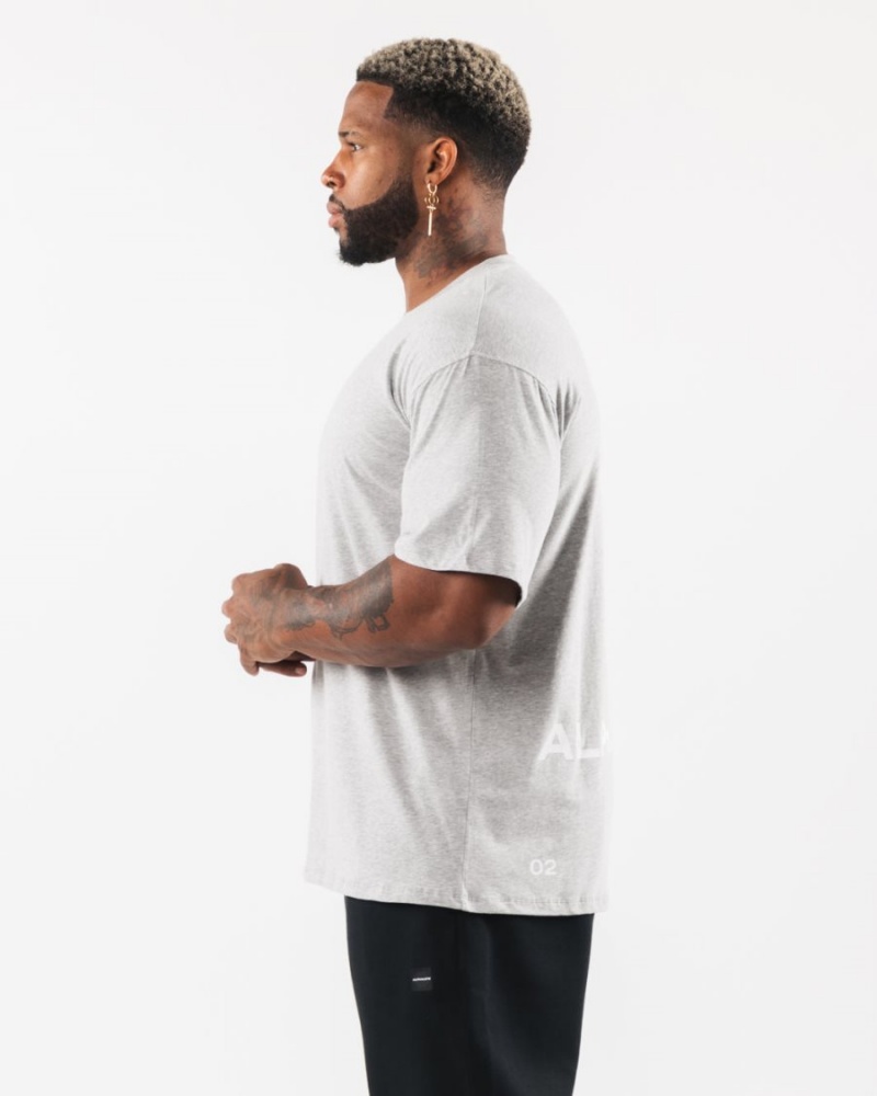 Men's Alphalete Brushed Crest Tee Shirts Heather Grey | 0145-PTOZM