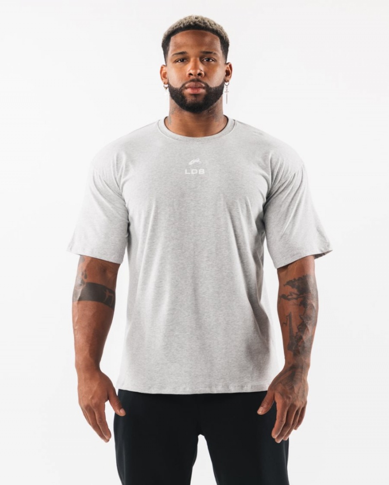 Men\'s Alphalete Brushed Crest Tee Shirts Heather Grey | 0145-PTOZM