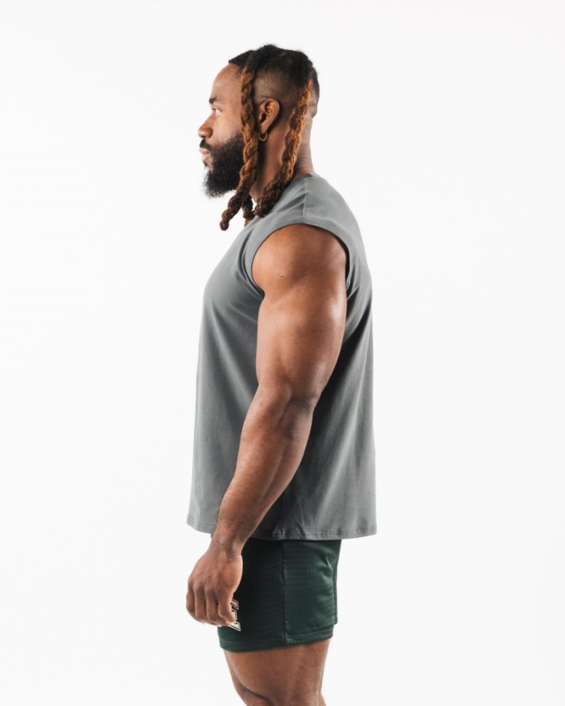 Men's Alphalete Brushed Wolf Head Muscle Tank Tanks Smoke | 8567-QCVHJ