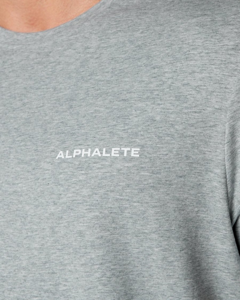 Men's Alphalete Classic Tee Shirts Heather Grey | 0293-XBLSO