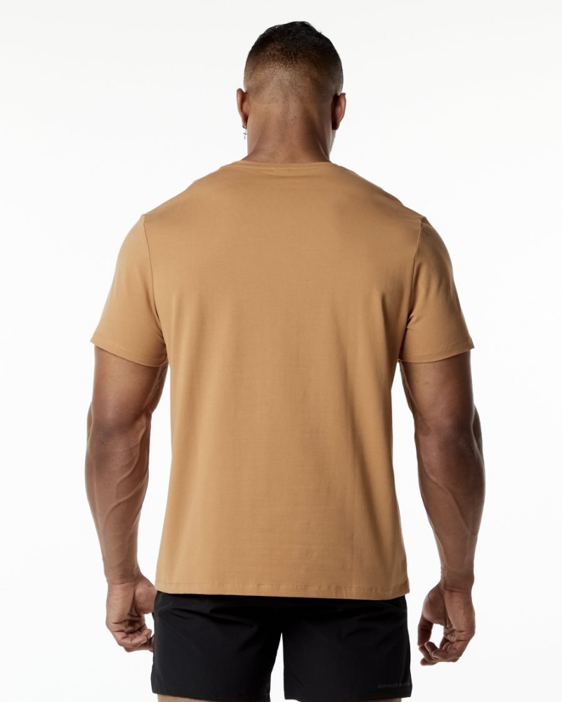 Men's Alphalete Classic Tee Shirts Rust | 4976-GRICW