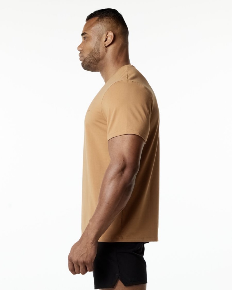 Men's Alphalete Classic Tee Shirts Rust | 4976-GRICW