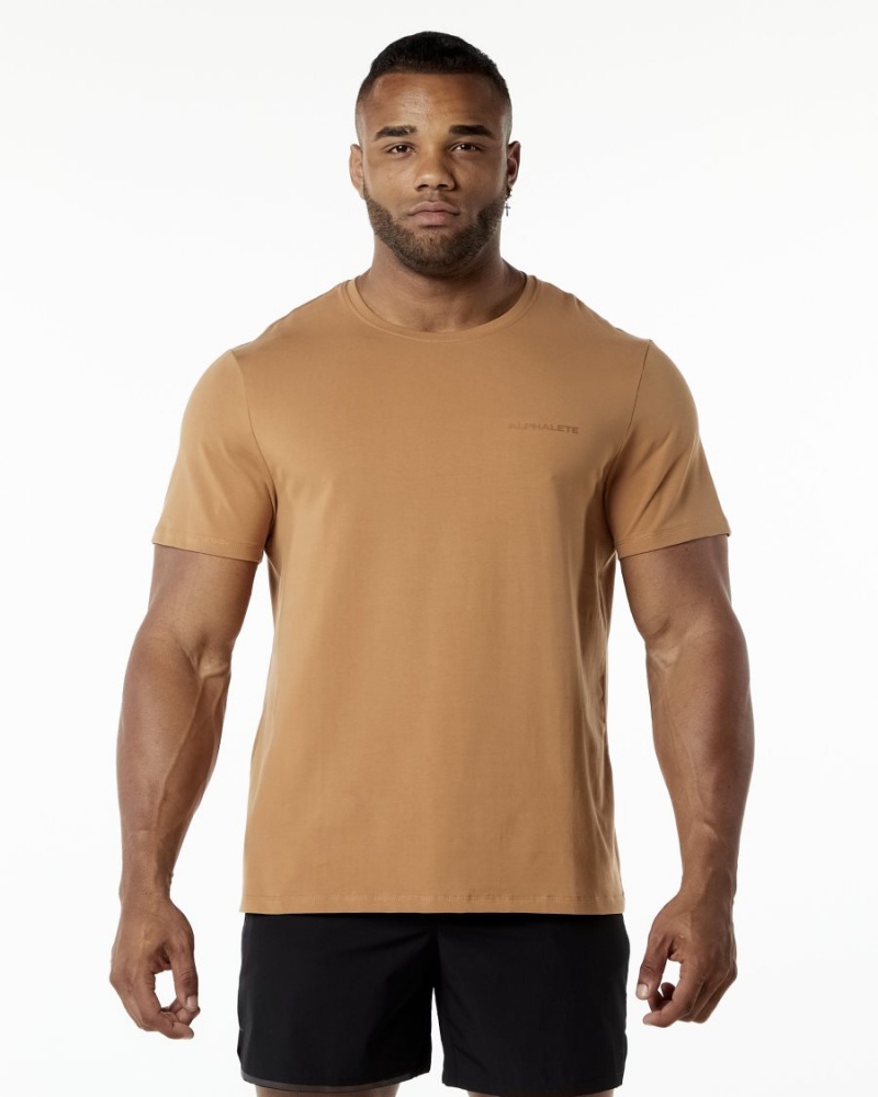 Men\'s Alphalete Classic Tee Shirts Rust | 4976-GRICW