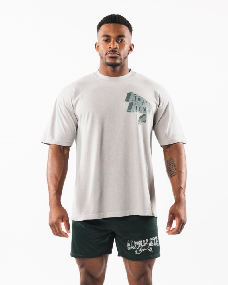 Men's Alphalete Dimensional Tee Shirts Dark Silver | 9301-PLENJ