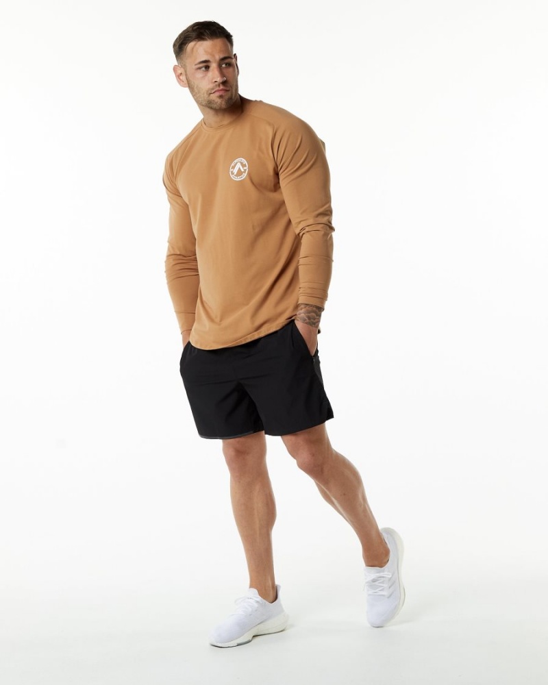 Men's Alphalete Dynasty LS Tee Shirts Rust | 4218-GXZJN