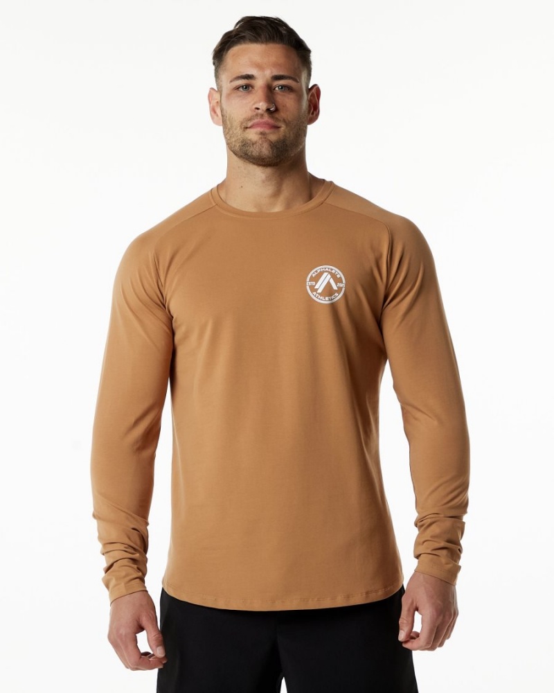 Men\'s Alphalete Dynasty LS Tee Shirts Rust | 4218-GXZJN