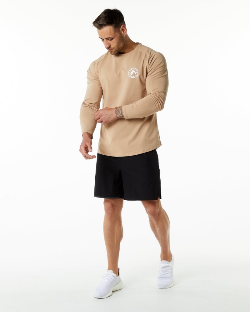 Men's Alphalete Dynasty LS Tee Shirts Taupe | 2147-HQNOS