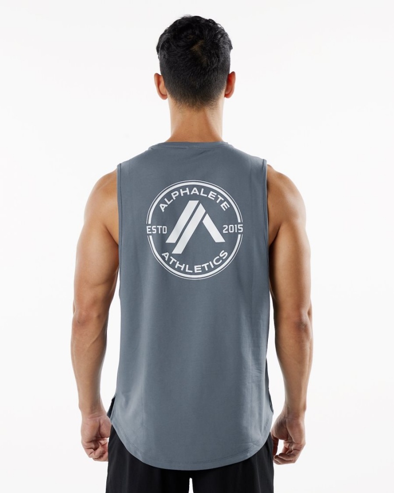 Men's Alphalete Dynasty Tank Tanks Carbon | 4612-JBCUS