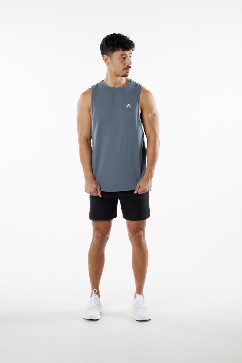 Men's Alphalete Dynasty Tank Tanks Carbon | 4612-JBCUS