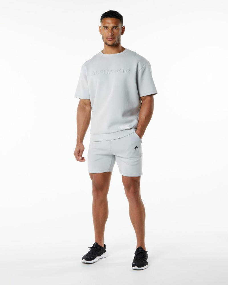 Men's Alphalete ELMTS Athletic Short 6" Shorts Oyster Grey | 1028-ZRYHU